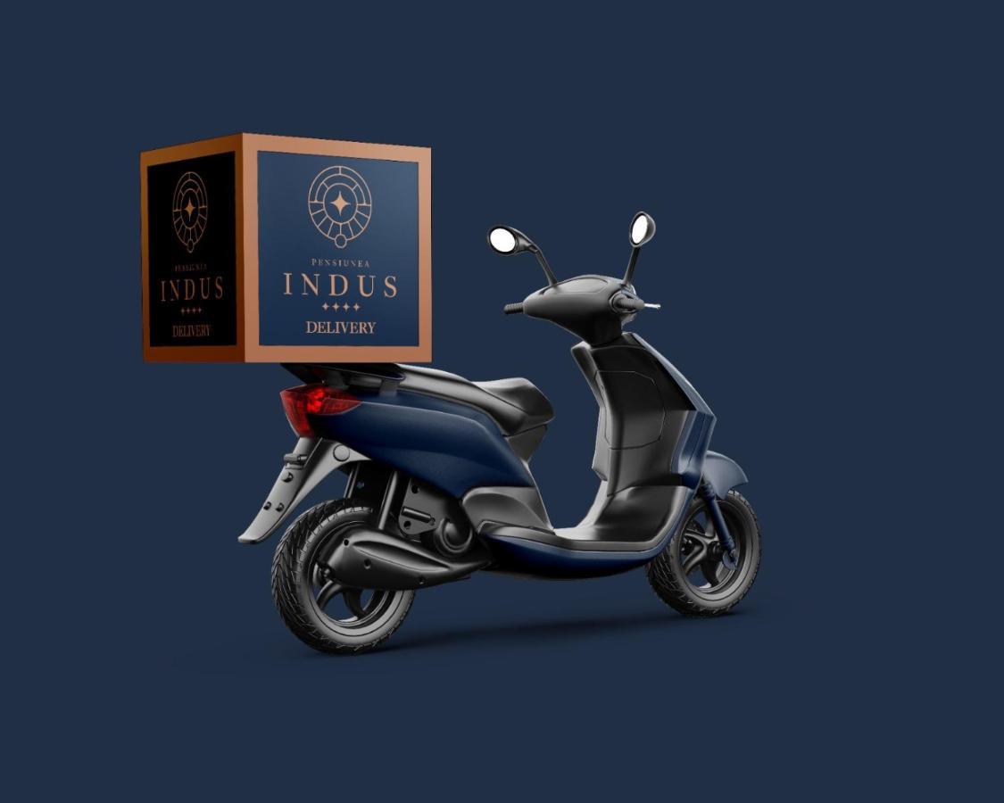 Pensiune Restaurant Indus オクナ・シビウルイ エクステリア 写真