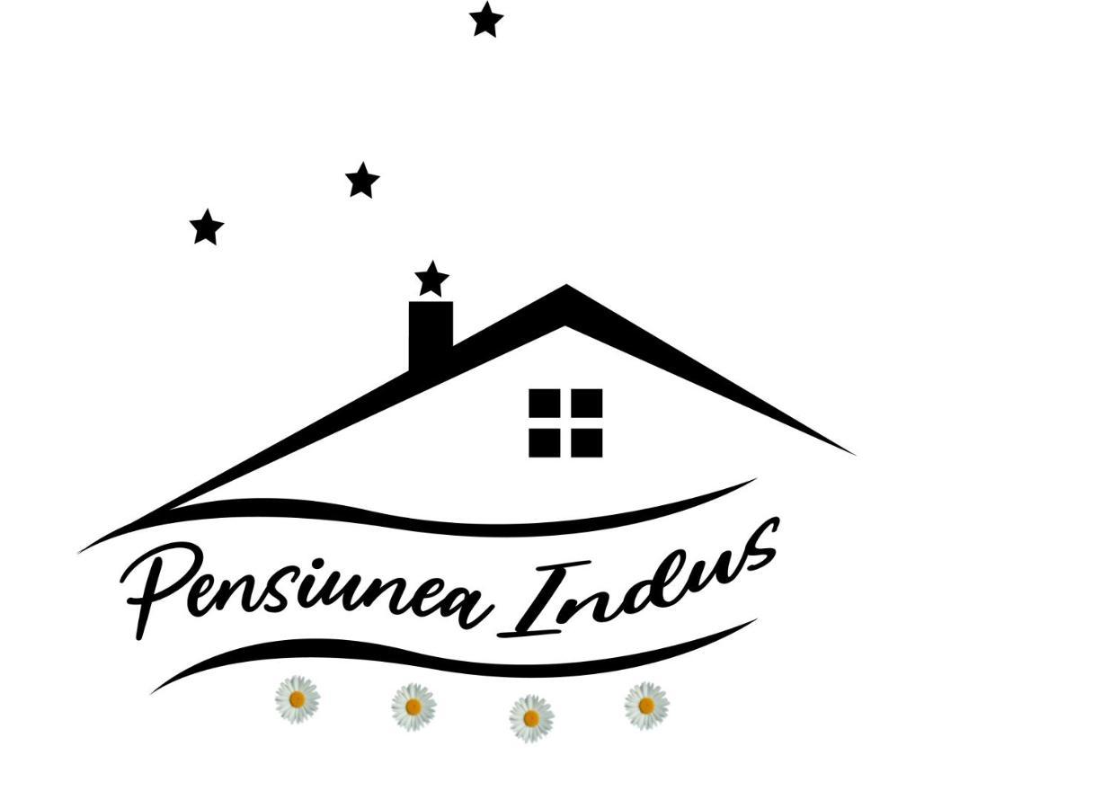 Pensiune Restaurant Indus オクナ・シビウルイ エクステリア 写真